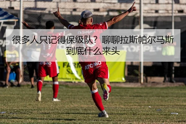 很多人只记得保级队？聊聊拉斯帕尔马斯到底什么来头（leyu）
