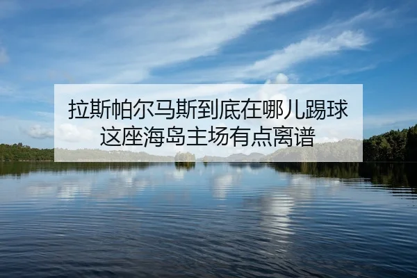 la-si-pa-er-ma-si-dao-di-zai-na-er-ti-qiu-zhe-zuo-hai-dao-zhu-chang-you-dian-li-pu-2-248.jpg