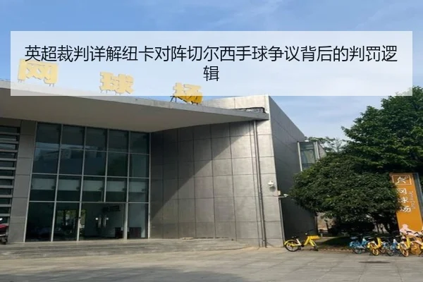 英超裁判详解纽卡对阵切尔西手球争议背后的判罚逻辑（leyu）