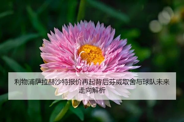 利物浦萨拉赫沙特报价再起背后芬威取舍与球队未来走向解析（leyu）