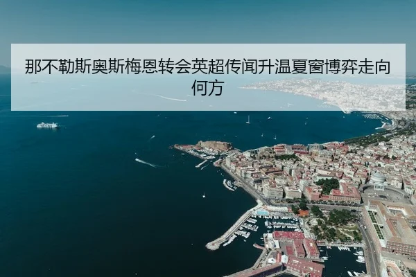 那不勒斯奥斯梅恩转会英超传闻升温夏窗博弈走向何方（leyu）