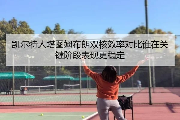 凯尔特人塔图姆布朗双核效率对比谁在关键阶段表现更稳定（leyu）